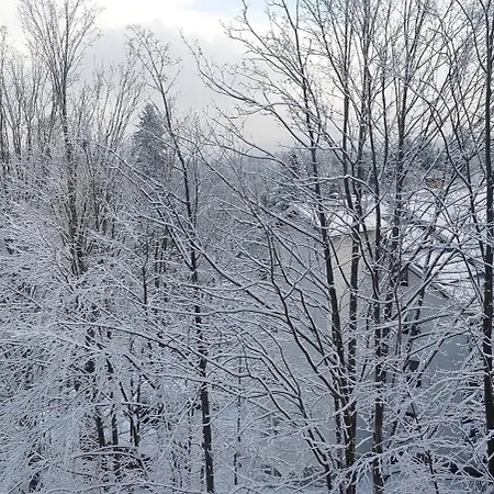 Z Prywatna Sauna, 300 M Do Szrenica Arena