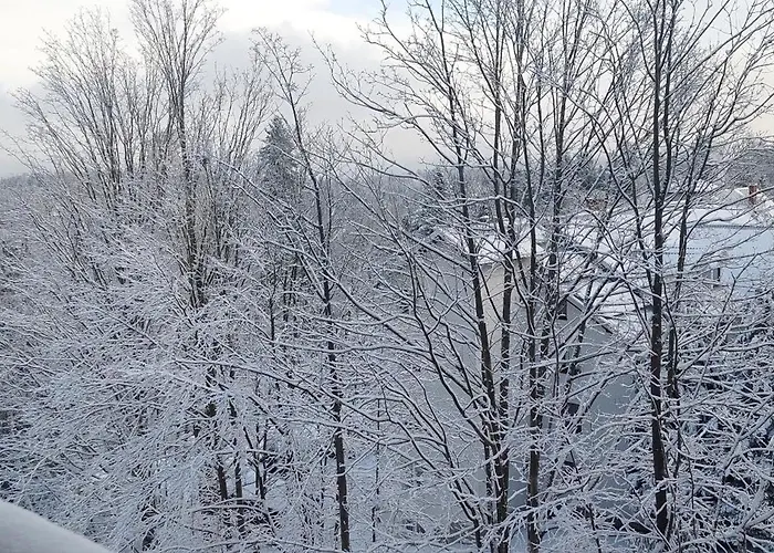 Z Prywatna Sauna, 300 M Do Szrenica Arena